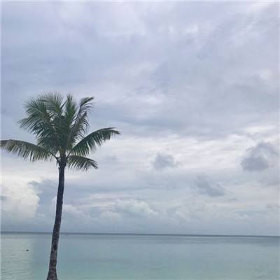 星语星愿游戏下载